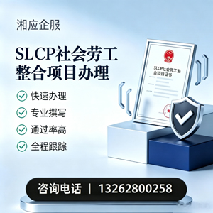 常州SLCP社会劳工整合项目申报服务