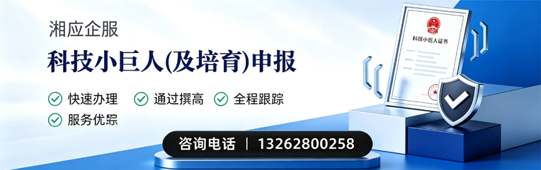 常州科技小巨人及培育企业申报服务