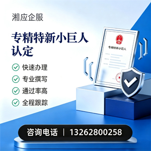 常州专精特新小巨人申报服务