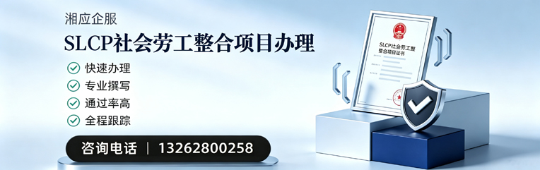 常州SLCP社会劳工整合项目申报服务