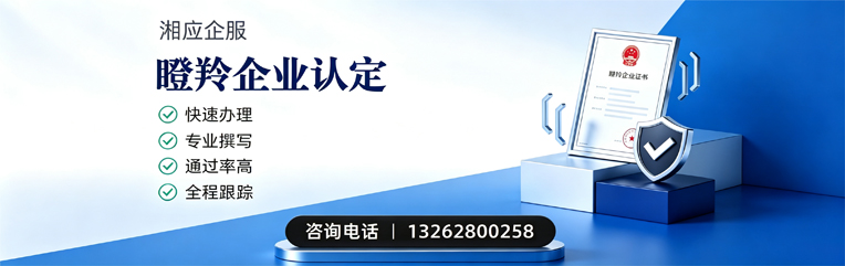 常州瞪羚企业认定申报服务