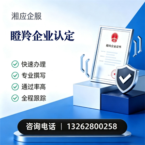 常州瞪羚企业认定申报服务