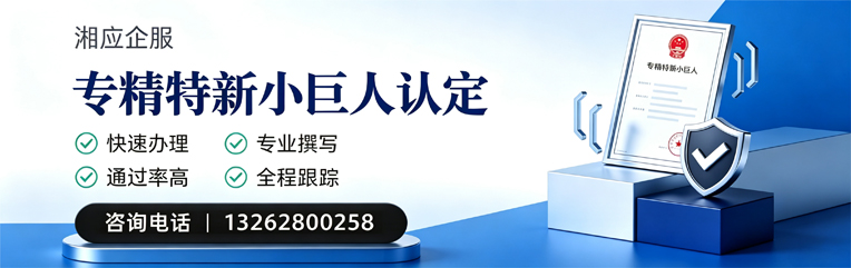 常州专精特新小巨人申报服务
